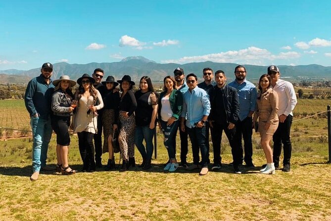 Private Wine Tour at Valle de Guadalupe (A wine tasting included). - Lunch can be casual, scenic, or arranged in advance