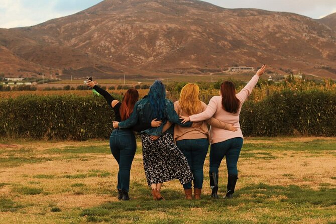 Private Wine Tour at Valle de Guadalupe (A wine tasting included). - What the $118.89 price really buys