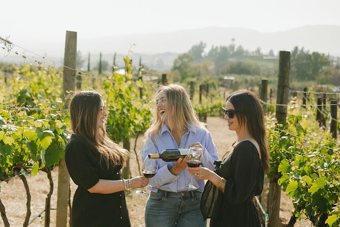Private Wine Tour by Ansell Tours - A private day in Valle de Guadalupe