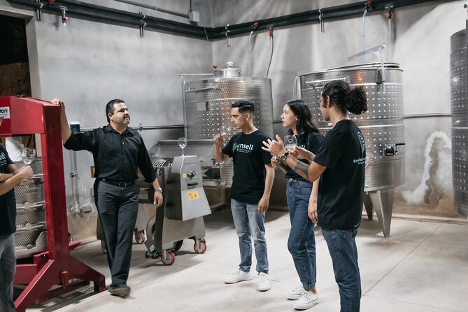 Private Wine Tour by Ansell Tours - Vena Cava: the most unusual setting