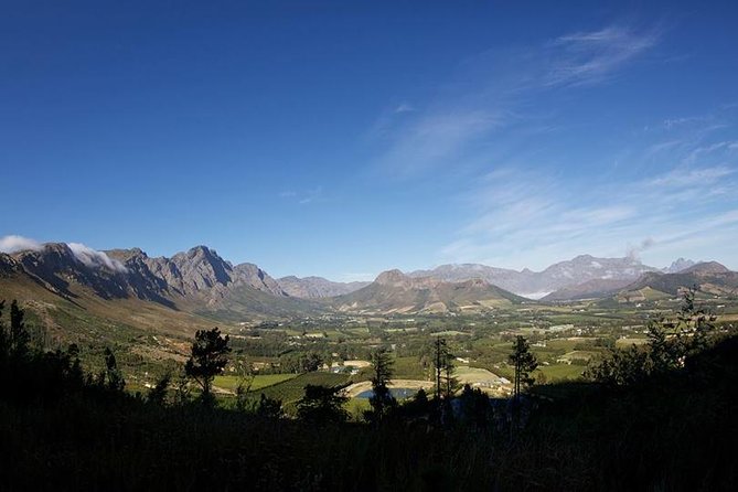Private Wine Tour with Wine Expert to Stellenbosch-Franschhoek Wine Regions - Why private transport changes the day