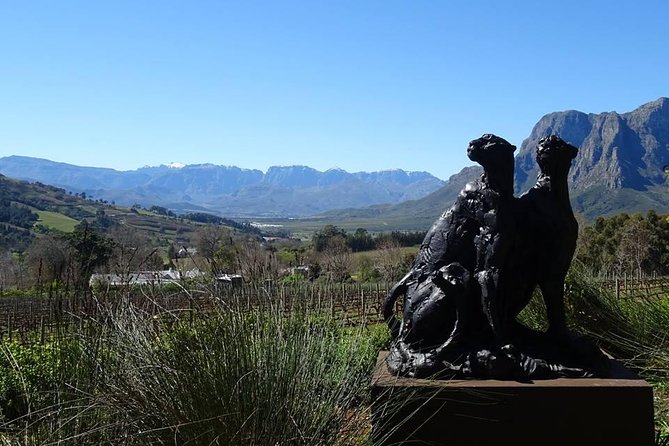 Private Wine Tour with Wine Expert to Stellenbosch-Franschhoek Wine Regions - Simonsig: a possible first taste