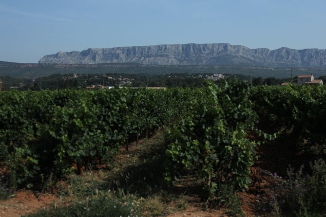 Provence Wineries and Luberon Villages Day Trip from Aix-en-Provence - Lourmarin offers the most relaxed village stop