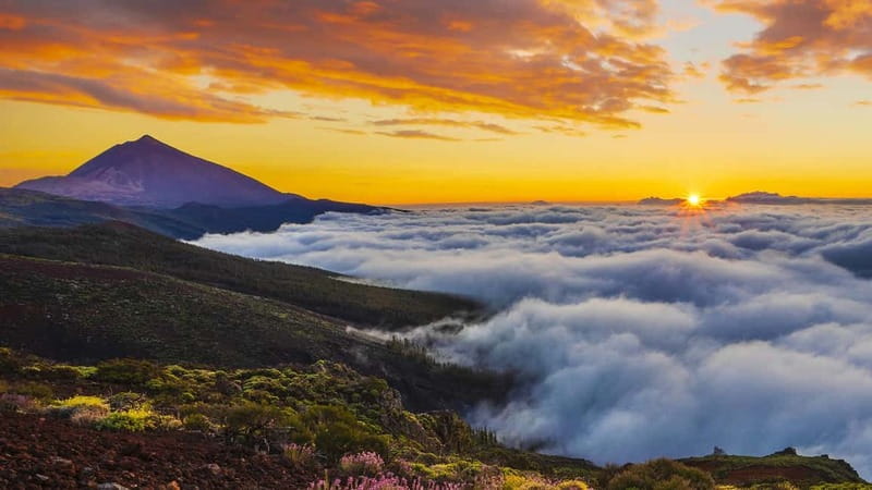 Puerto Cruz: VIP Teide Sunset & Stars, Guachiche Lunch+Cava - Roads, timing, and what to pack