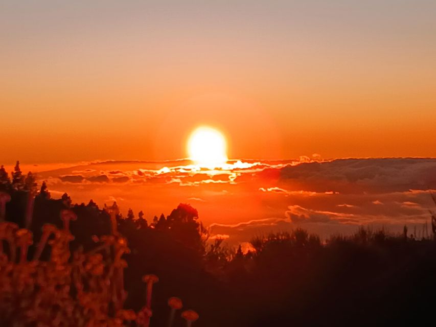 Puerto Cruz: VIP Teide Sunset & Stars, Guachiche Lunch+Cava - Coffee and Canarian specialties at El Portillo