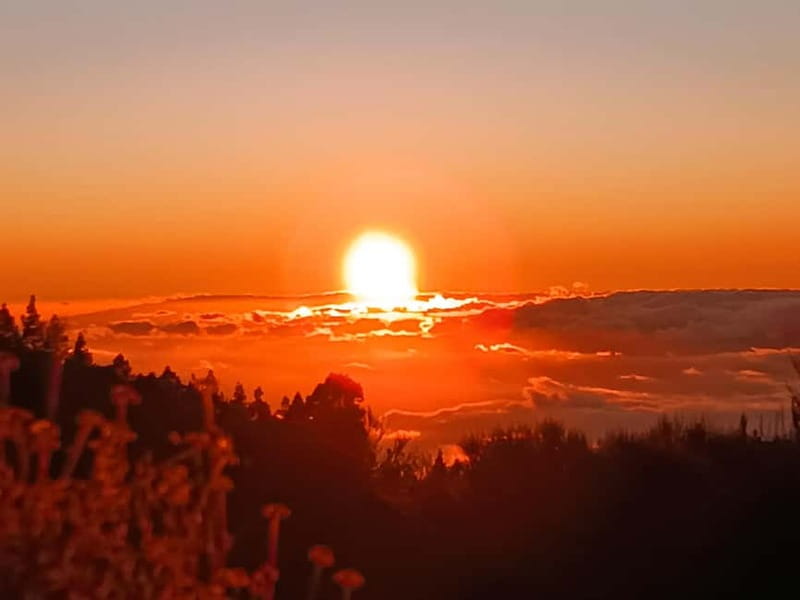 Puerto Cruz: VIP Teide Sunset & Stars, Guachiche Lunch+Cava - Stargazing under Teide’s dark sky