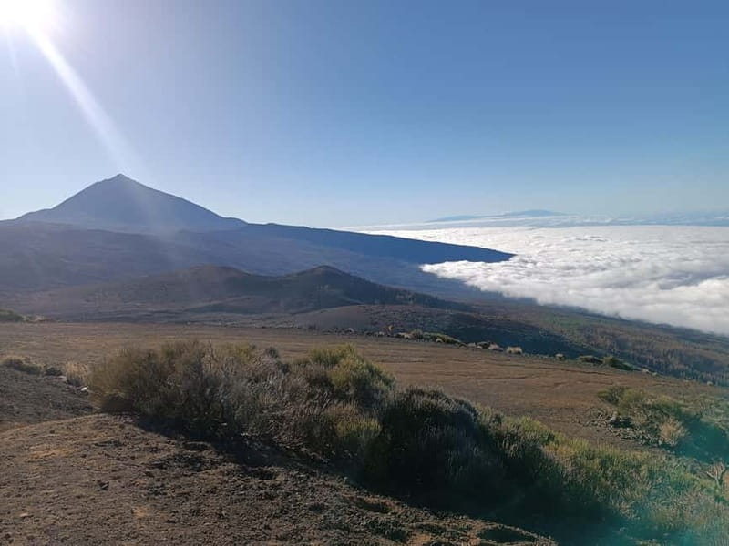 Puerto Cruz: VIP Teide Sunset & Stars, Guachiche Lunch+Cava - What the small group changes
