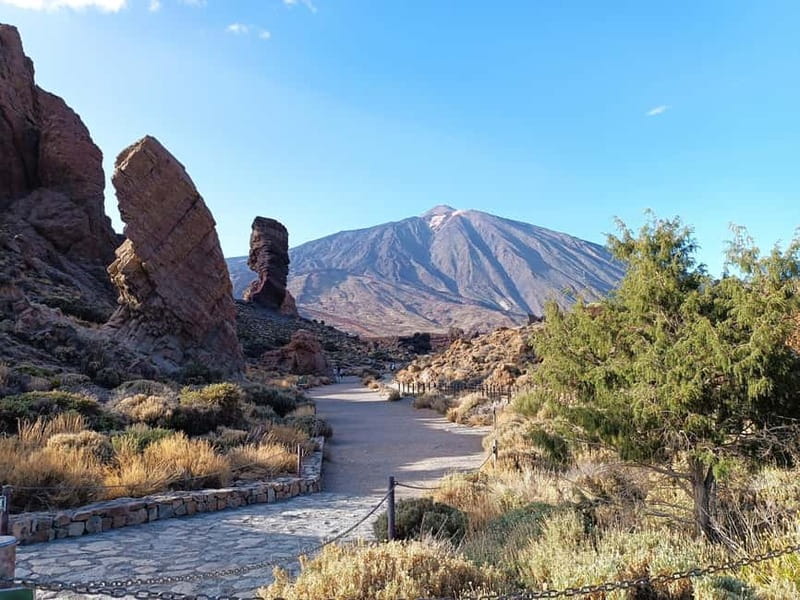 Puerto Cruz: VIP Teide Sunset & Stars, Guachiche Lunch+Cava - A proper Canarian meal at Guachinche El Cubano