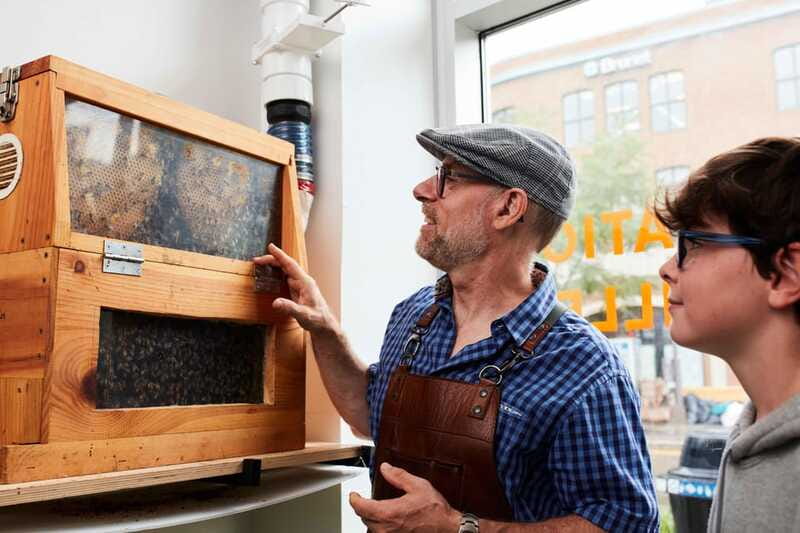 Quebec City: Honey and Distillery Tour with Tasting - Seeing how honey becomes spirits