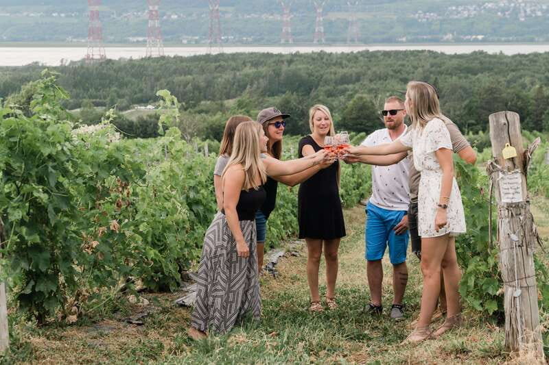 Quebec City: Island of Orleans Wine Tour - What the three vineyards add