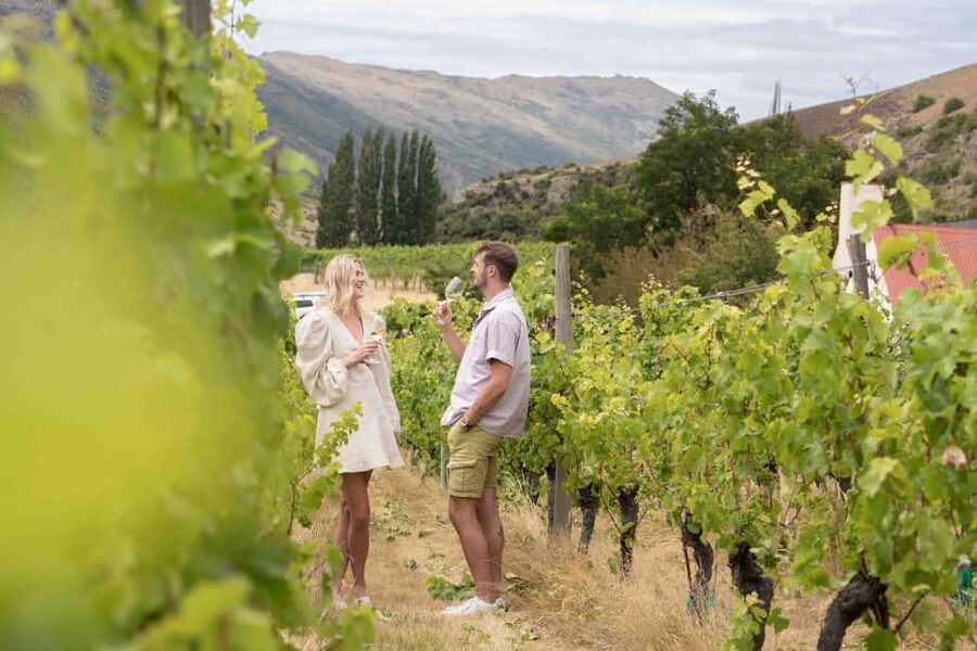 Queenstown: Wine & Food Tour, Scenic Tastings & Paired Lunch - The wine cave and the visual side of the tour