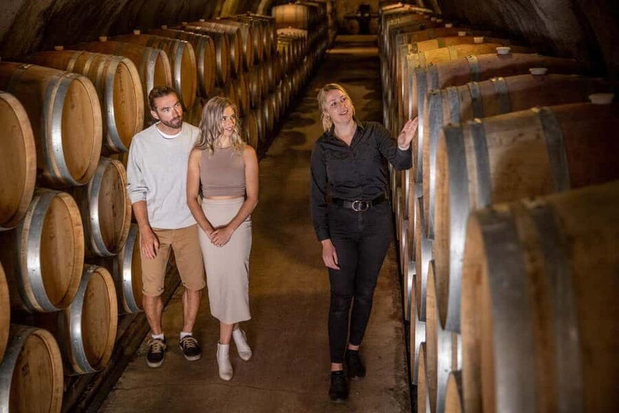 Queenstown: Wine & Food Tour, Scenic Tastings & Paired Lunch - The guide can make or break the afternoon