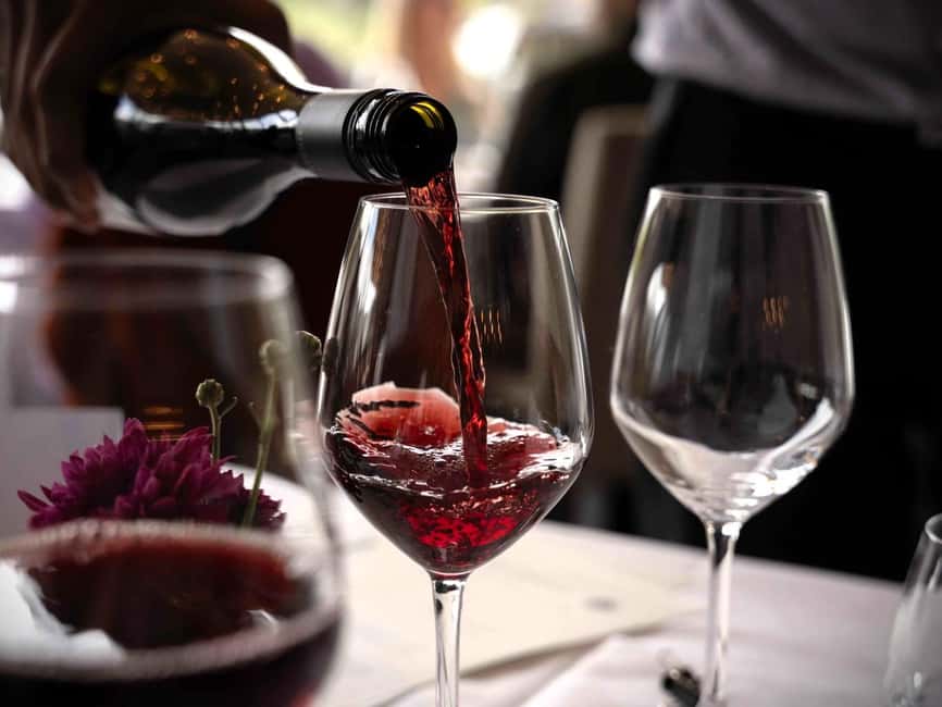 Queenstown: Wine & Food Tour, Scenic Tastings & Paired Lunch - Who should book this Queenstown wine tour?