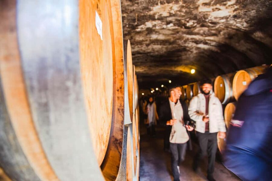 Queenstown: Wine Tasting Tour - Getting the pace right