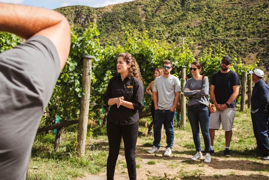 Queenstown: Wine Tasting Tour - Mt Rosa Wines and the owner-operated feel