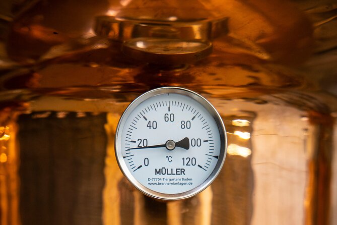 Rebel City Distillery Tour - Rebel City Distillery in Cork’s old Ford factory