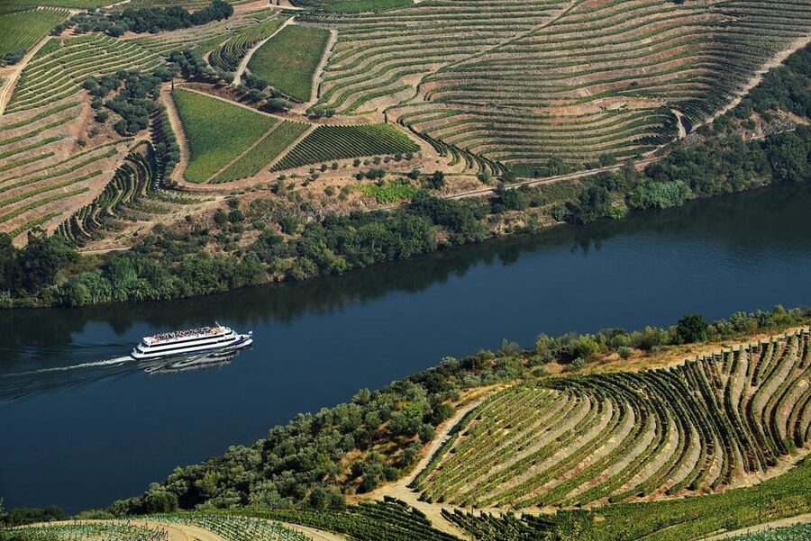 Régua: Wine tasting at a Quinta, traditional lunch, cruise, and train ride - A two-hour meal at Quinta da Laceira