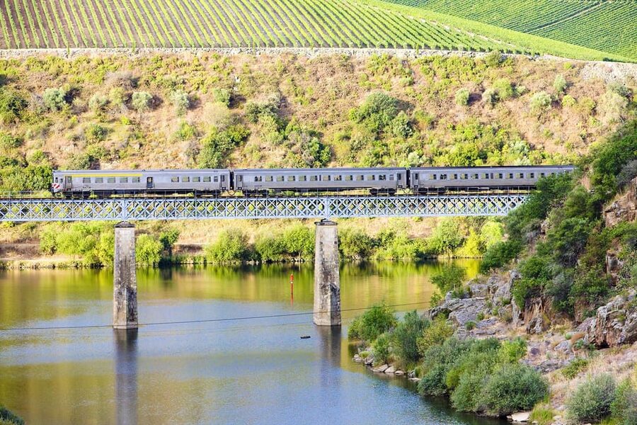 Régua: Wine tasting at a Quinta, traditional lunch, cruise, and train ride - One hour in Pinhão, then the train
