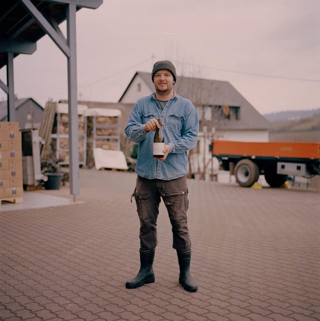 Reil, Mosel: Guided organic wine tasting and cellar tour - Starting at Weingut Arns in Reil