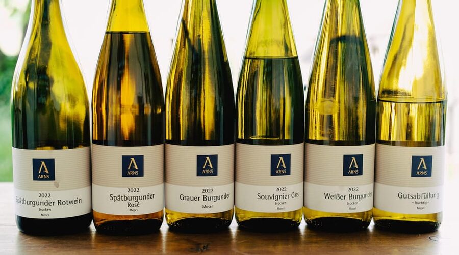 Reil, Mosel: Guided organic wine tasting and cellar tour - Entering the modern cellar