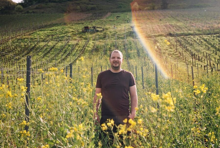 Reil, Mosel: Guided organic wine tasting and cellar tour - Who will enjoy this Mosel wine tour