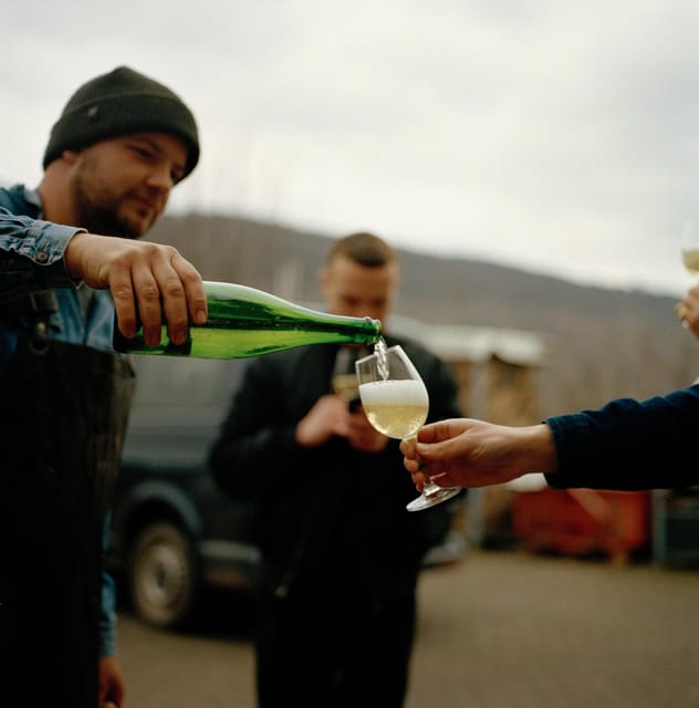 Reil, Mosel: Guided organic wine tasting and cellar tour - Booking details that affect your plans