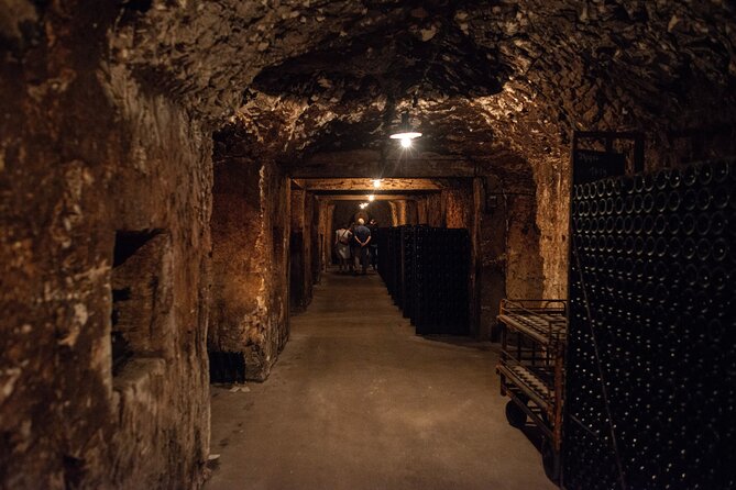 Reims afternoon tour Champagne and family growers - Why the family-grower focus matters