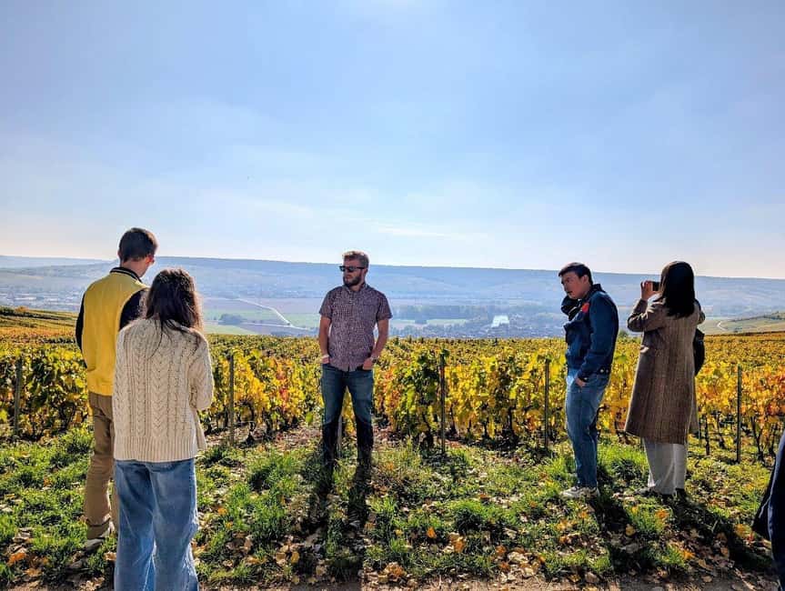 Reims: Moët & Chandon and Family-Run Winery Day Tour & Lunch - Starting in Reims or Épernay