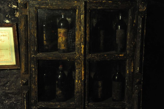 Ribera del Duero Wineries Guided Tour & Wine Tasting from Madrid - First winery: learning Tempranillo from grape to bottle