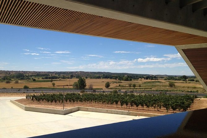 Ribera del Duero Wineries Guided Tour & Wine Tasting from Madrid - Second winery: modern design and open vineyard views