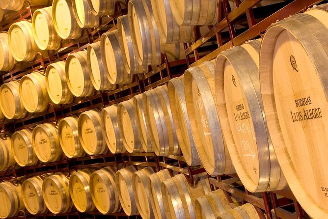 Rioja Wine Tour: 2 Wineries From Bilbao - Timing, comfort, and practical details