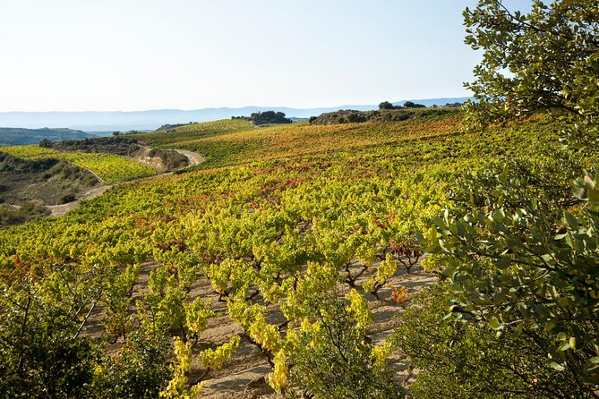 Rioja Wine Tour: 2 Wineries From Bilbao - Who will enjoy this Rioja day most?