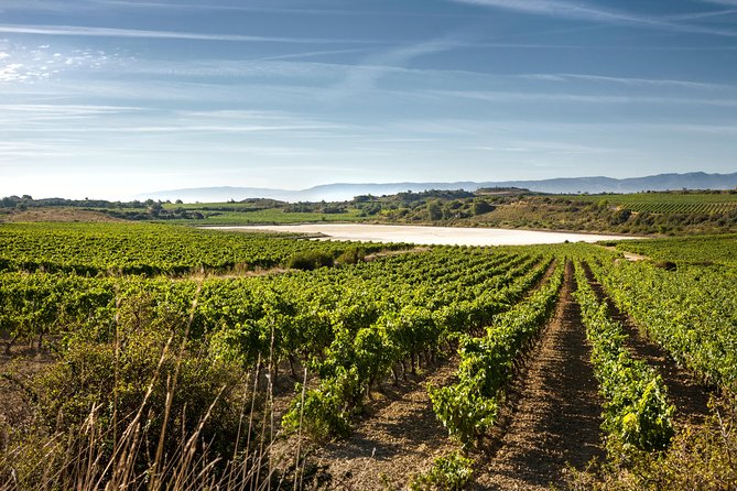 Rioja Wine Tour: 2 Wineries From Bilbao - The second winery gives you a useful contrast
