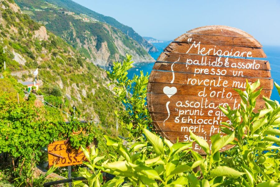Riomaggiore: Vineyard & Wine Cellar Tour with Wine Tasting - Key points to know before you book