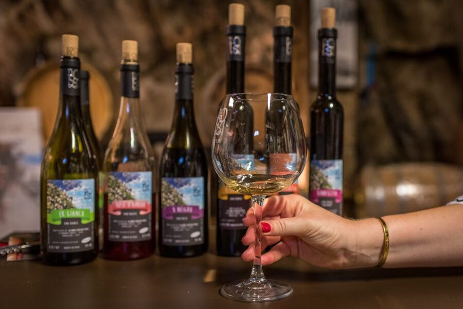 Riomaggiore: Vineyard & Wine Cellar Tour with Wine Tasting - Why this vineyard is worth your time