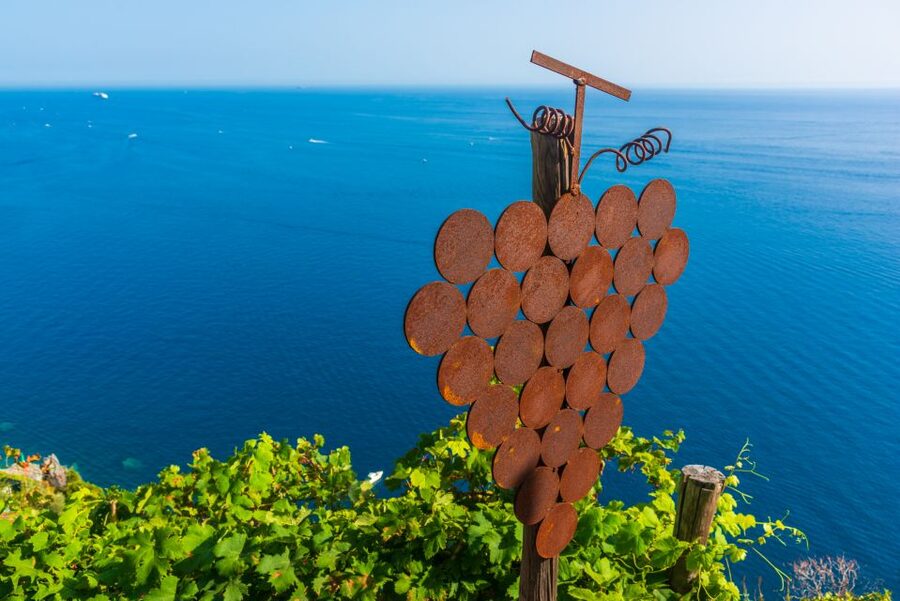 Riomaggiore: Vineyard & Wine Cellar Tour with Wine Tasting - Walking up to the cliffside vines