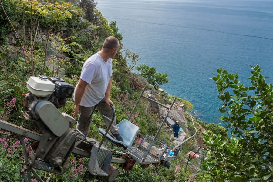 Riomaggiore: Vineyard & Wine Cellar Tour with Wine Tasting - Practical advice for a better visit