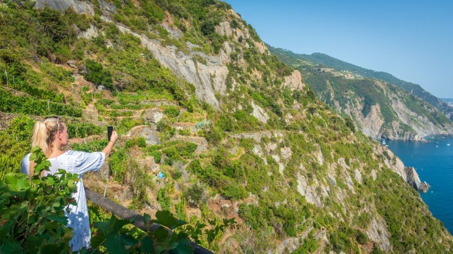 Riomaggiore: Vineyard & Wine Cellar Tour with Wine Tasting - Meeting near the Riomaggiore train station