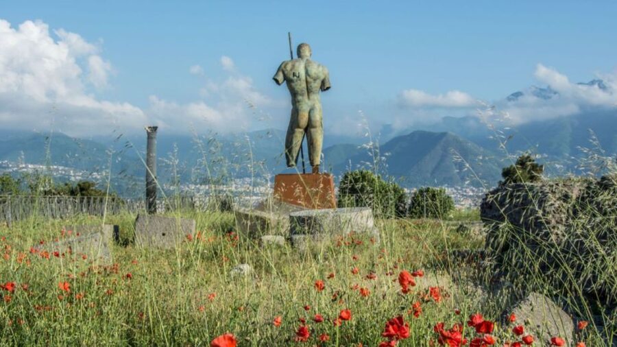 Rome: Pompeii Tour with Wine and Lunch by High Speed Train - Key points at a glance
