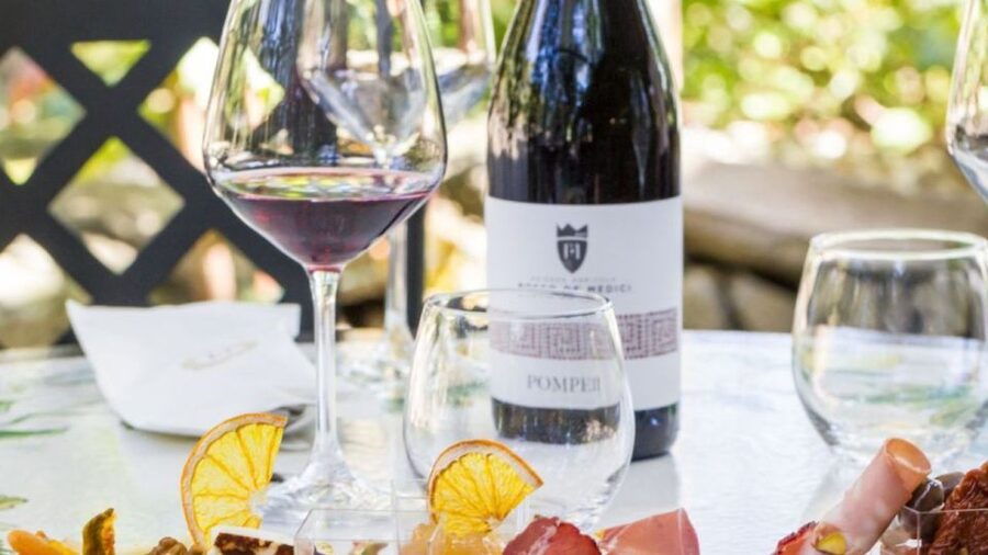 Rome: Pompeii Tour with Wine and Lunch by High Speed Train - Why the high-speed train changes the day