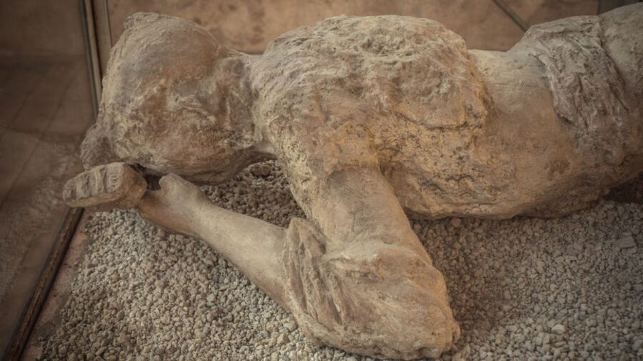 Rome: Pompeii Tour with Wine and Lunch by High Speed Train - What the 2.5-hour visit does not include