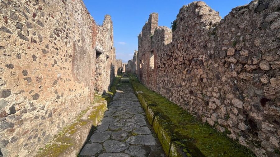 Rome: Pompeii Tour with Wine and Lunch by High Speed Train - Who should book this day trip?