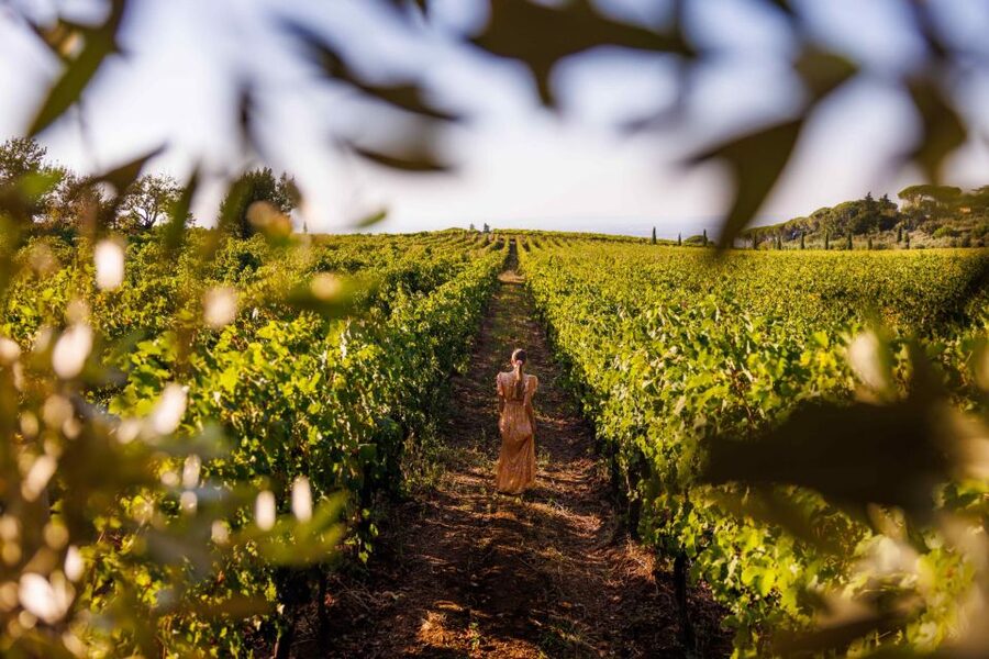 Rome: Private Countryside Wine Tasting Tour - What arrives at the tasting table