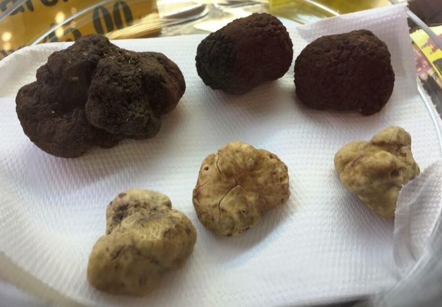 Rome: Trastevere Guided Food and Wine Tour with 20+ Tastings - The salumeria course: balsamic, cheese, ham, and truffles