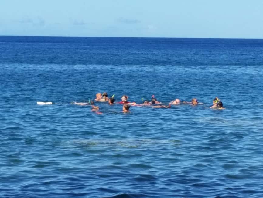 Roseau: Titou Gorge, Hot Spring, Falls & Champagne Reef Tour - Four kinds of Dominica in six hours