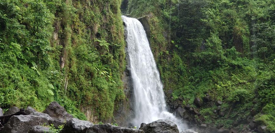 Roseau: Titou Gorge, Hot Spring, Falls & Champagne Reef Tour - Trafalgar Falls and the short rainforest walk