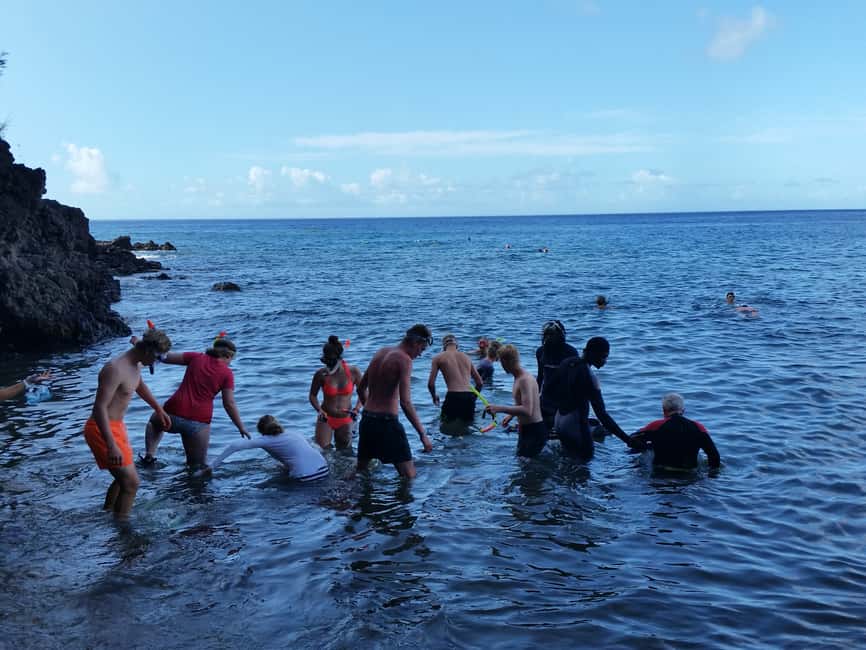 Roseau: Titou Gorge, Hot Spring, Falls & Champagne Reef Tour - The guides are a big part of the value