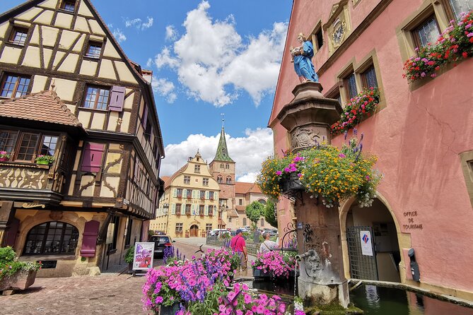 Safari-Tour Villages and vineyard, 1/2 day afternoon - The Alsace Wine Route and a winemaker’s cellar
