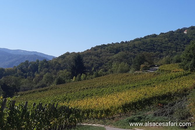 Safari-Tour Villages and vineyard, 1/2 day afternoon - Price, timing, and what you receive