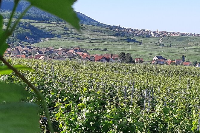 Safari-Tour Villages and vineyard, 1/2 day afternoon - Kaysersberg: another Alsatian village, another point of view